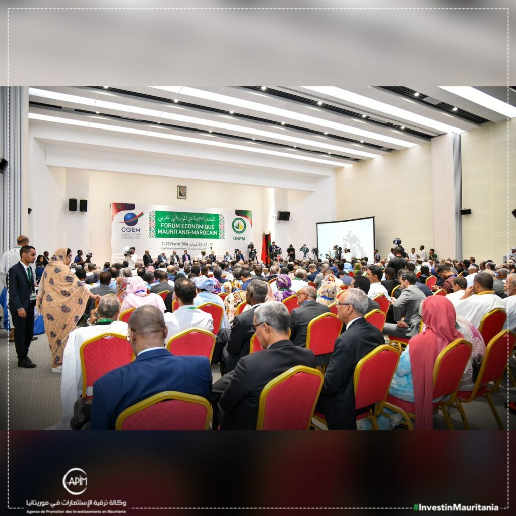 WhatsApp Image 2024-02-22 at 12.36.21