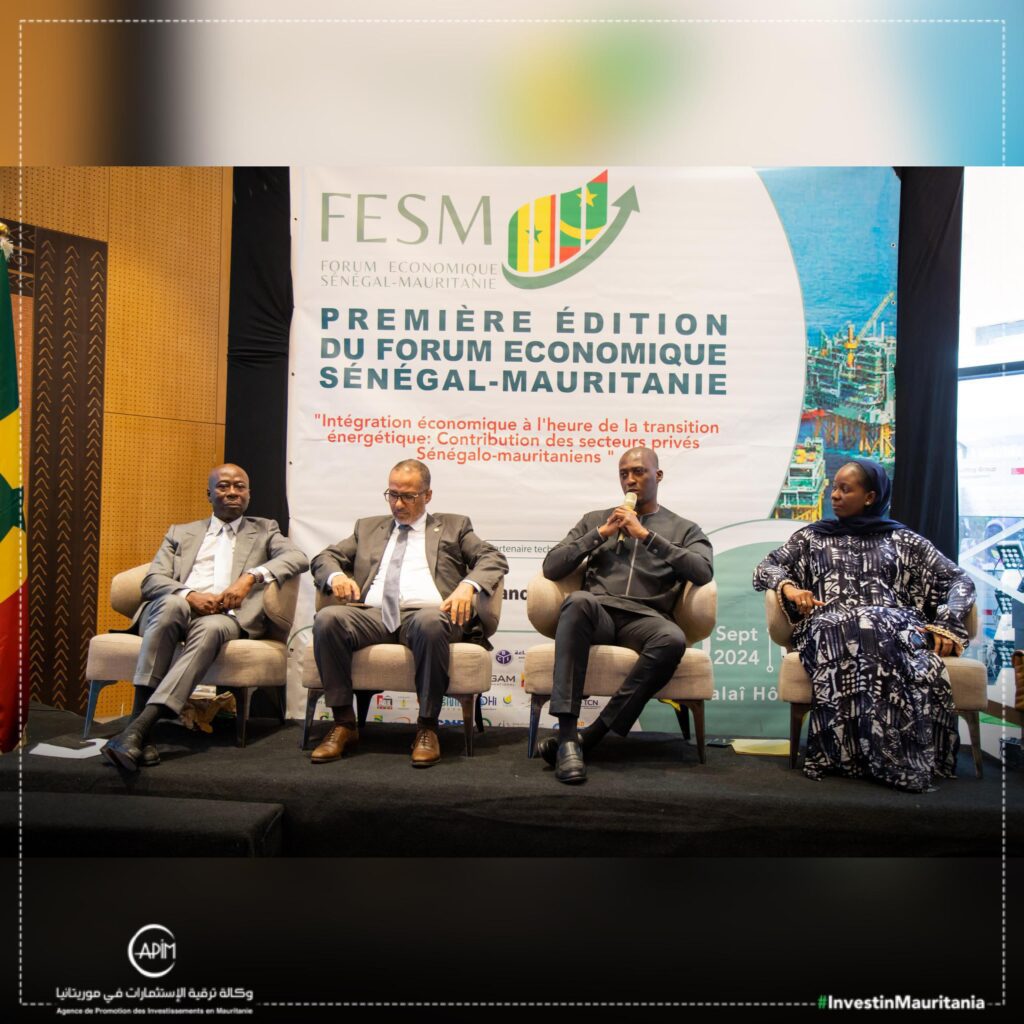 WhatsApp Image 2024-10-01 at 14.51.03