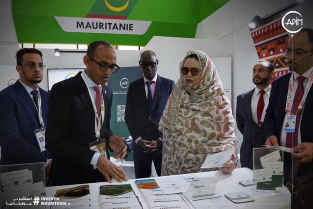 WhatsApp Image 2025-09-06 at 22.10.00 (1)