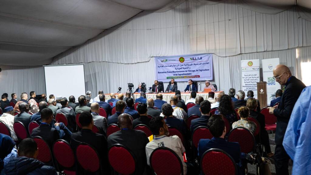 WhatsApp Image 2026-01-26 at 21.31.07