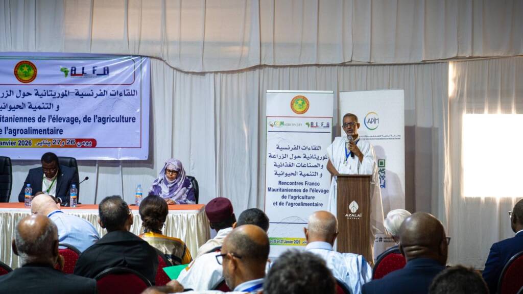 WhatsApp Image 2026-01-26 at 21.31.08 (1)