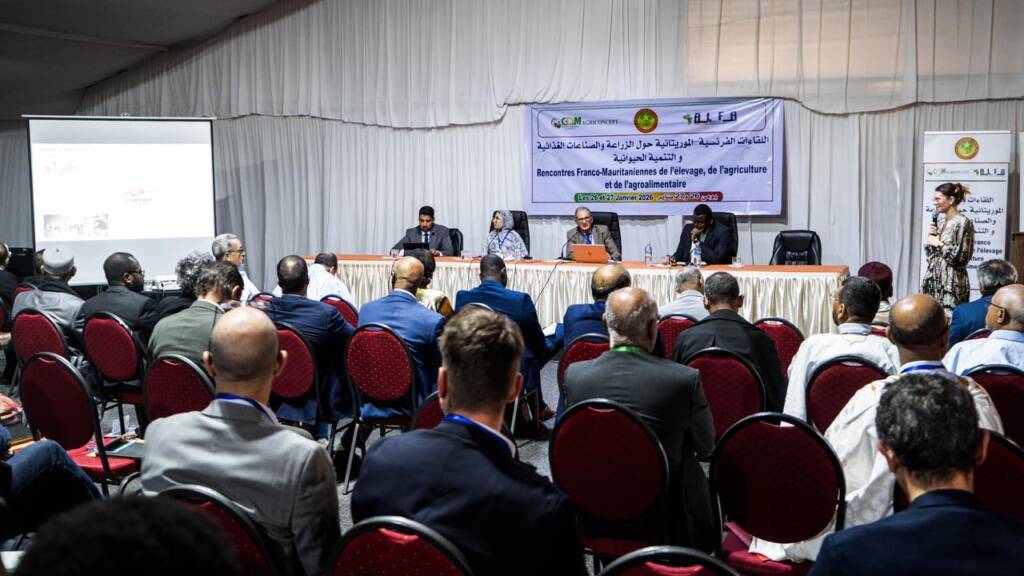 WhatsApp Image 2026-01-26 at 21.31.10